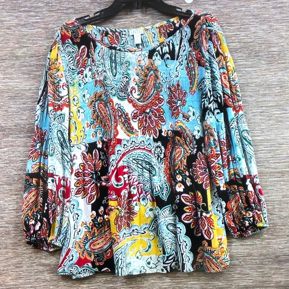 Spense Multi-Color Paisley Tunic Top